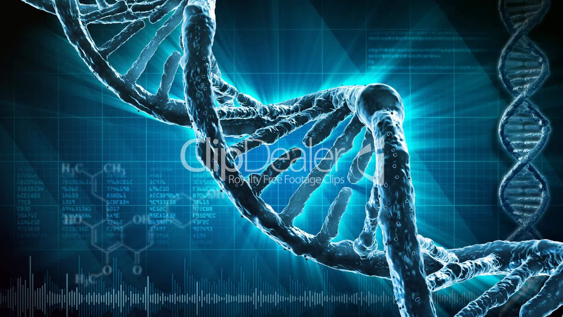 DNA strand: Royalty-free video and stock footage